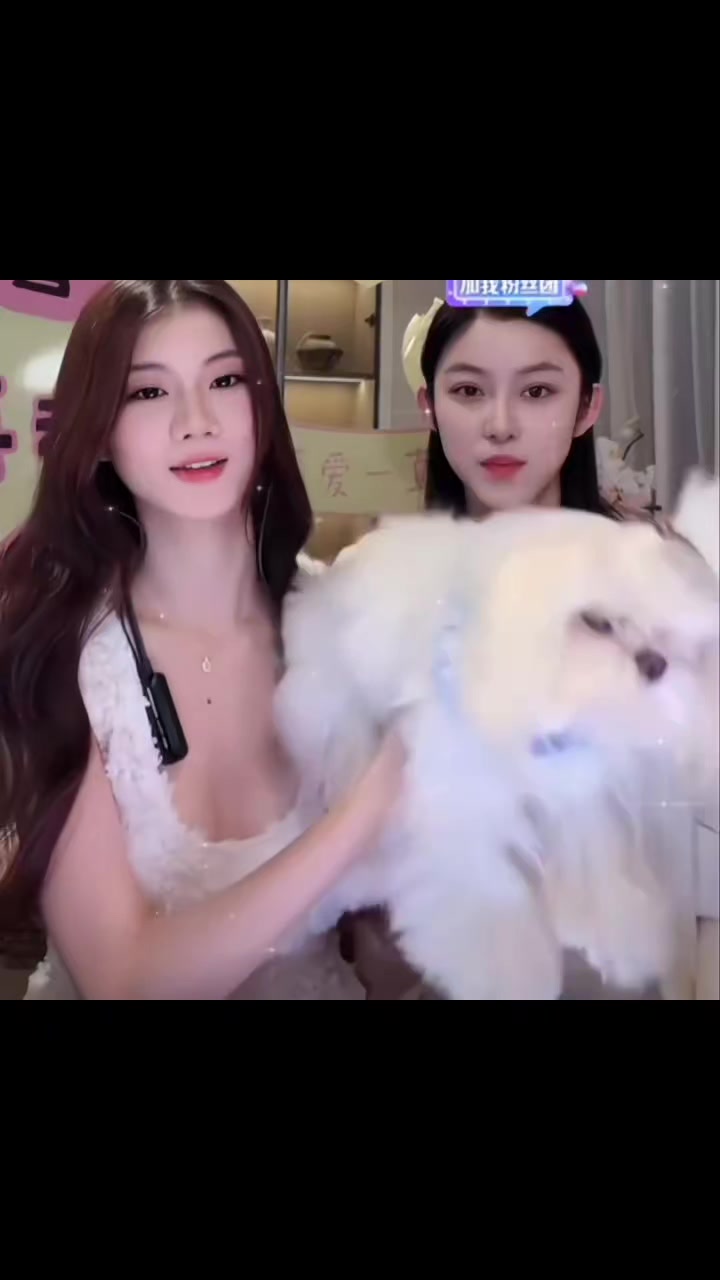 @Hushuo ShaoRe 胡说行家(小胡说)