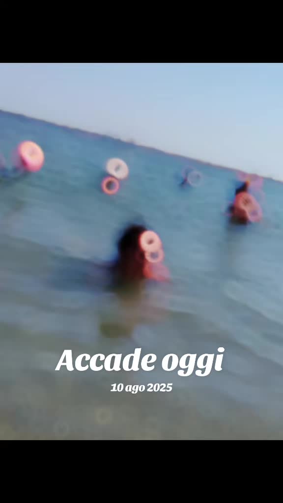 @silvylazza