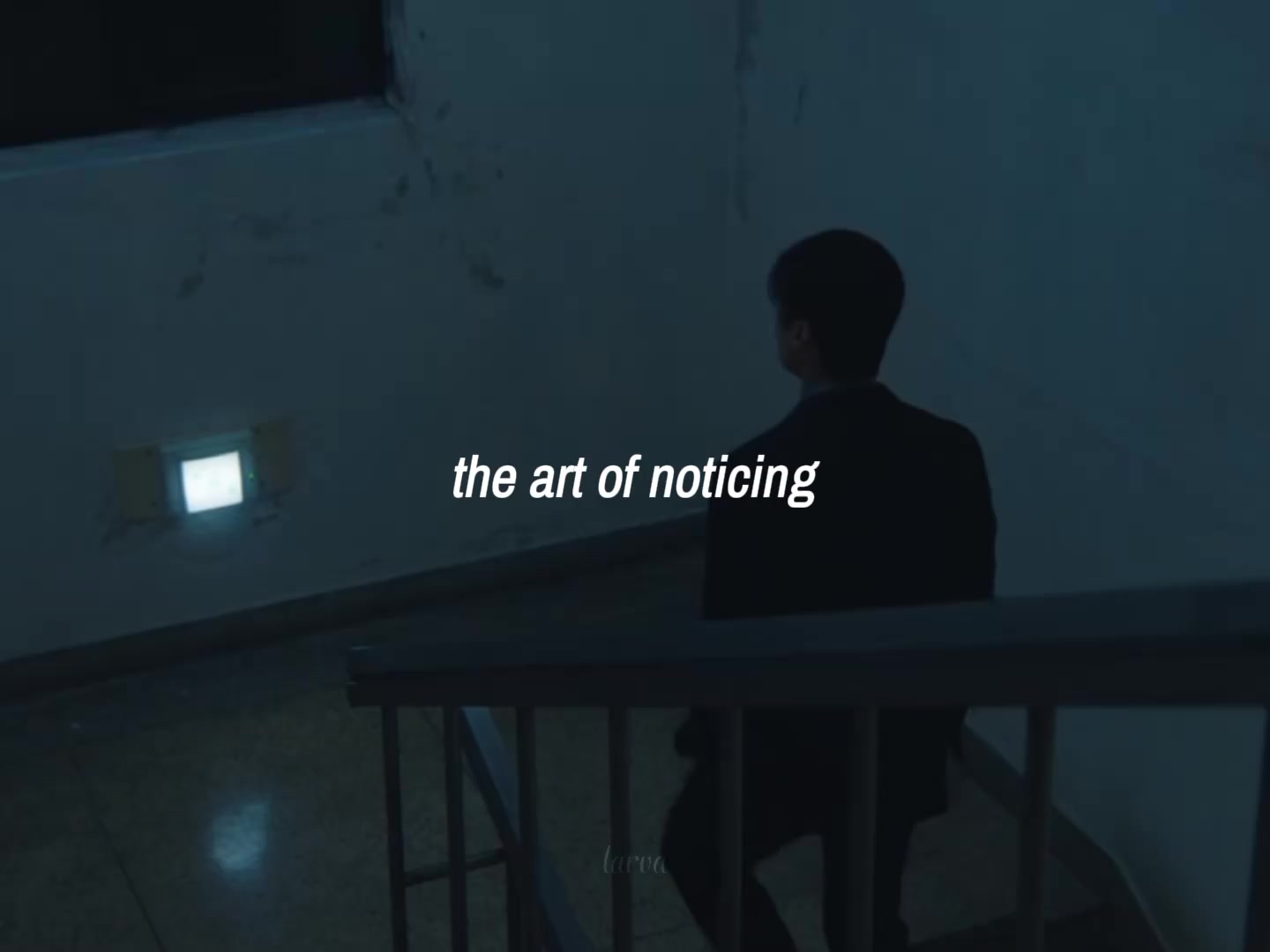 @larva