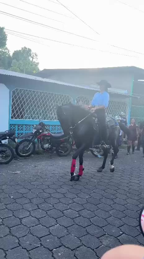 @𝑃𝑎𝑜𝑙𝑎 𝒮🌸
