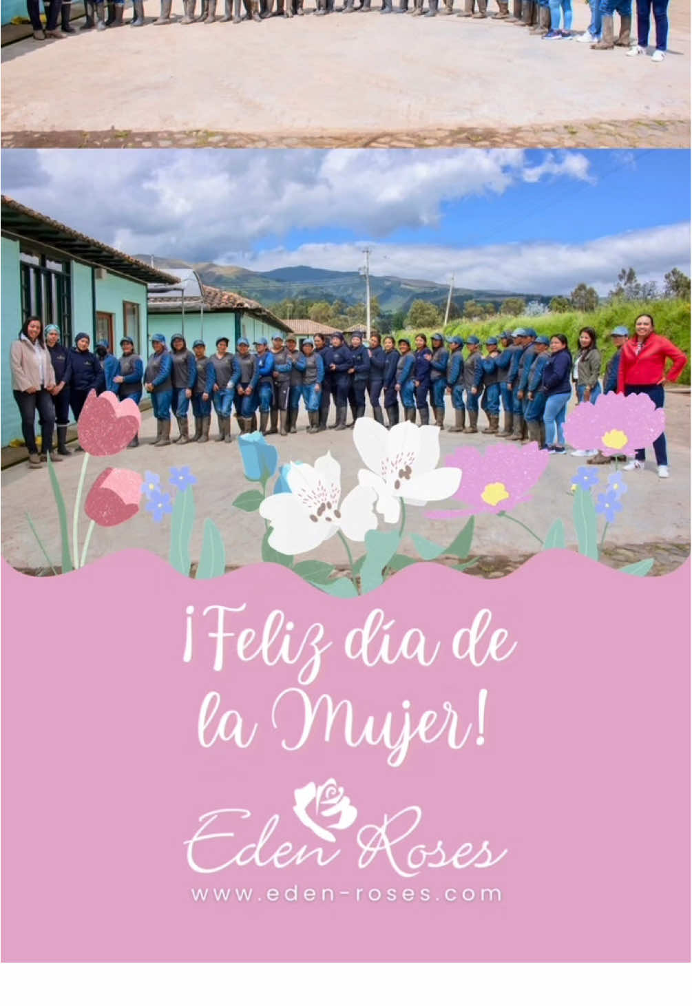 @Eden Roses