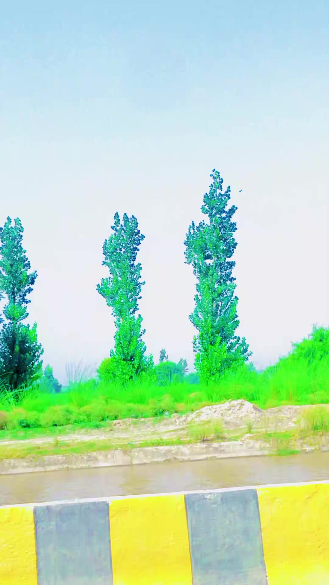 @𖤍 بـلالـــــی گـھنجــیـرا ☠︎