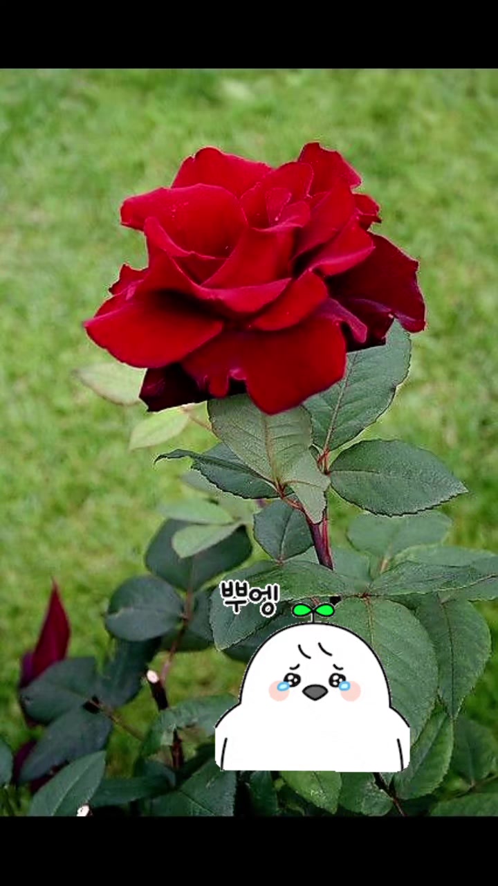 @Maria