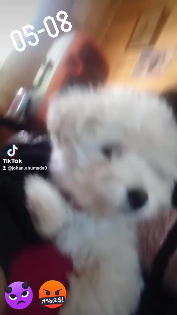 @Johan Ahumada