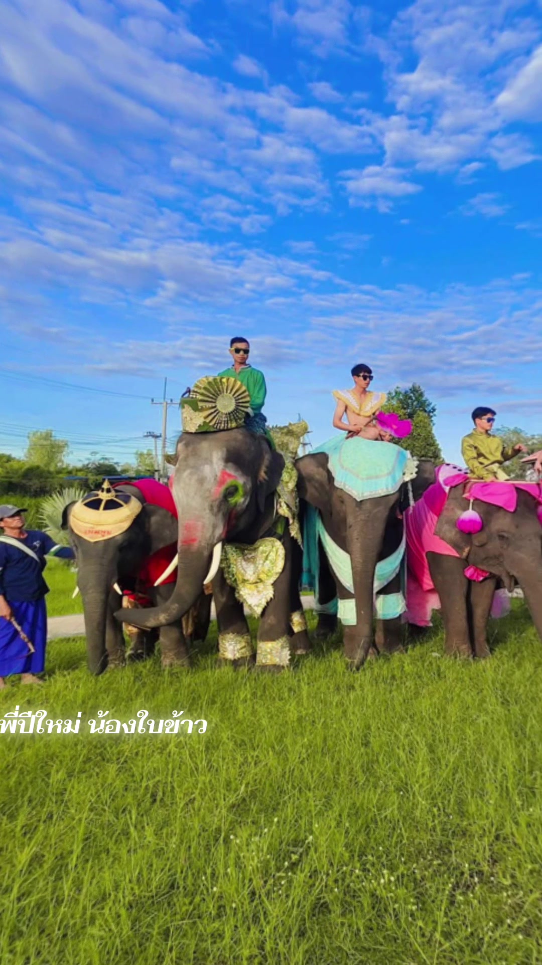 @aoraeeFcMooming🐘❤️