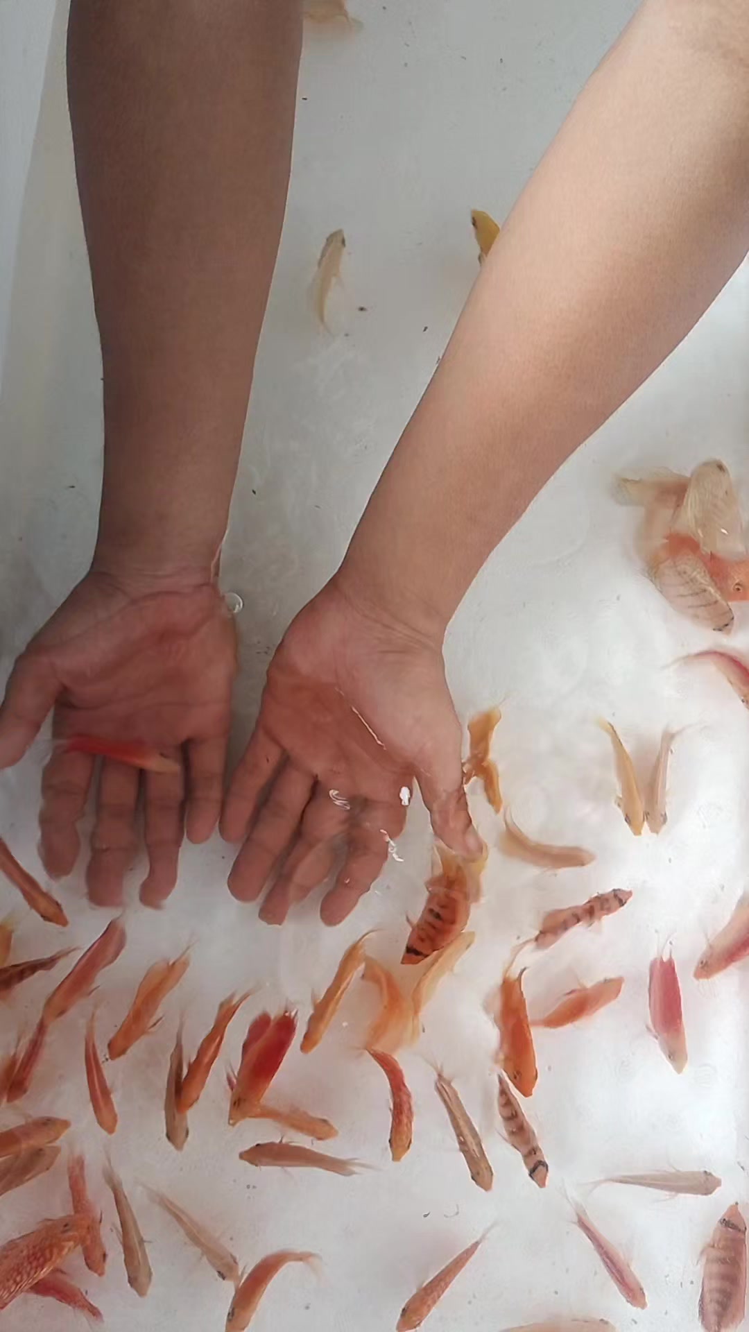 @UniJambi_Aquarium