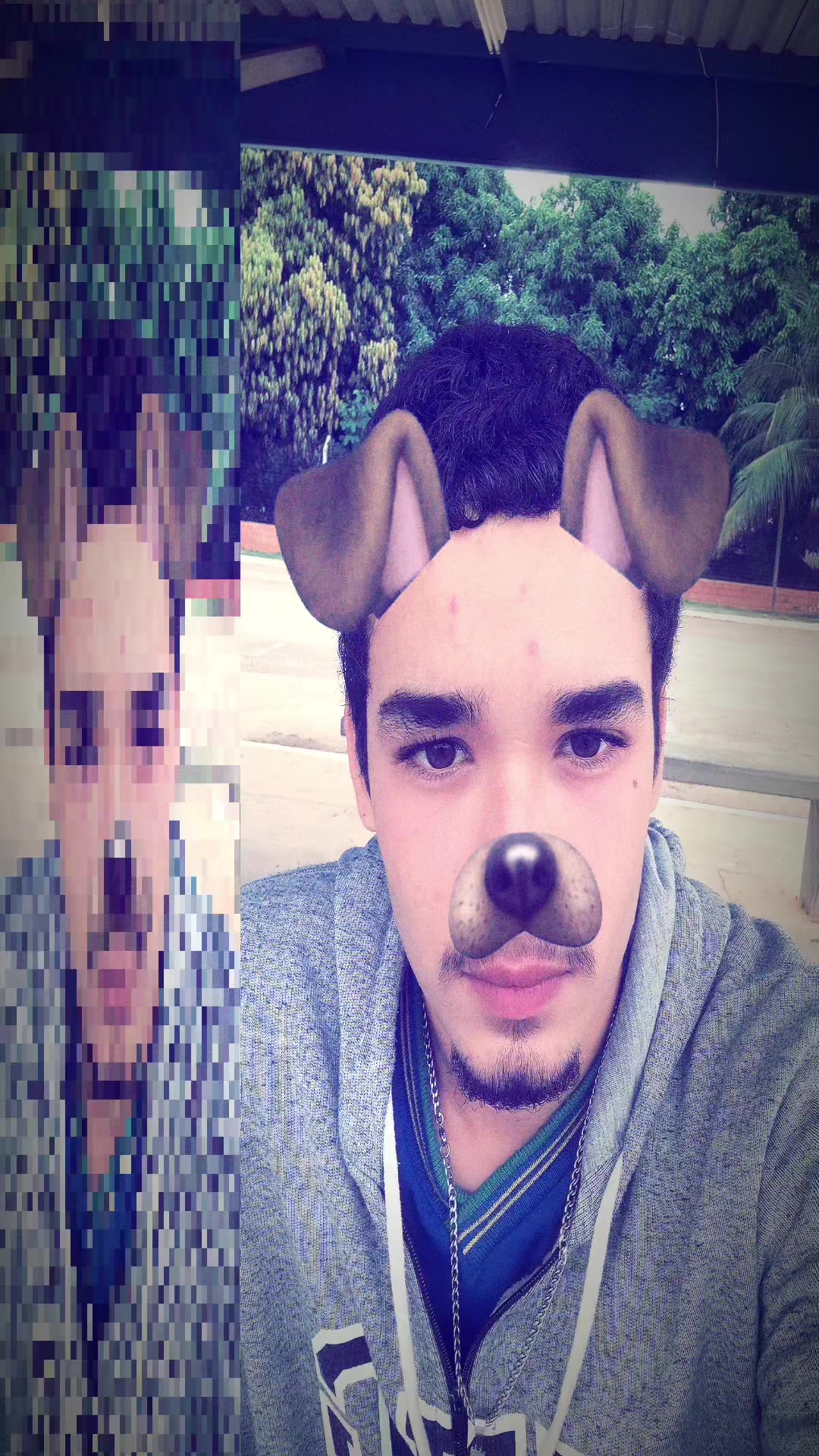 @Bertolino🤠
