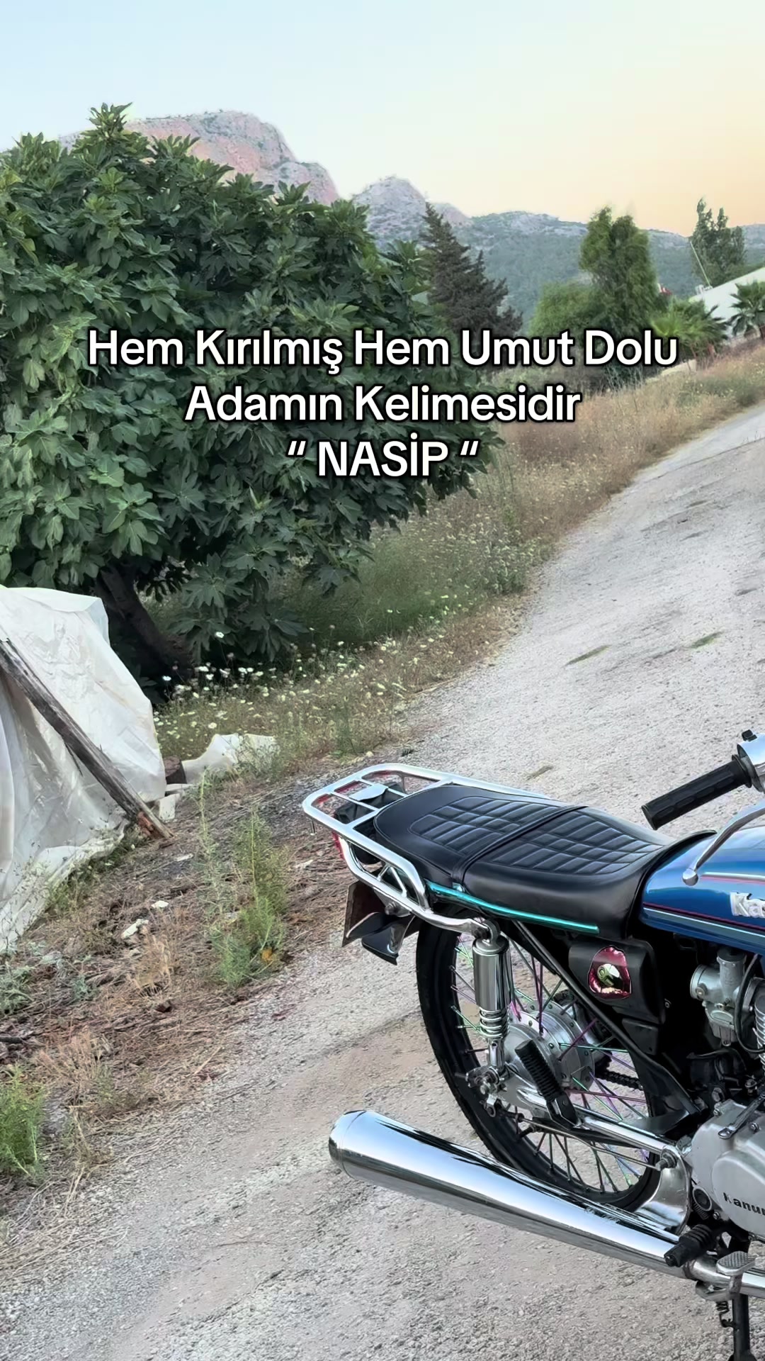 @kutlubulut0