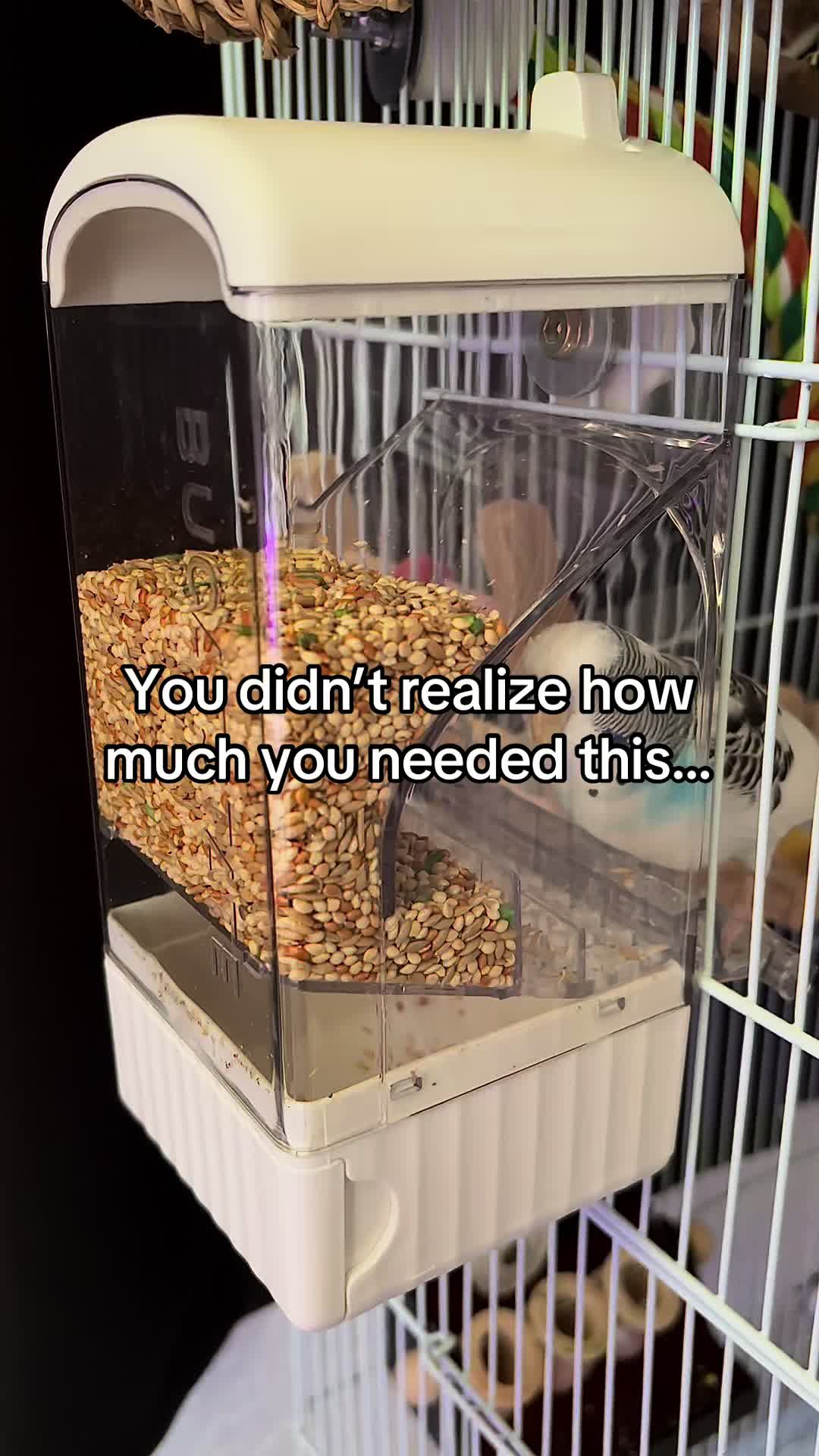 @Tiny Tweets