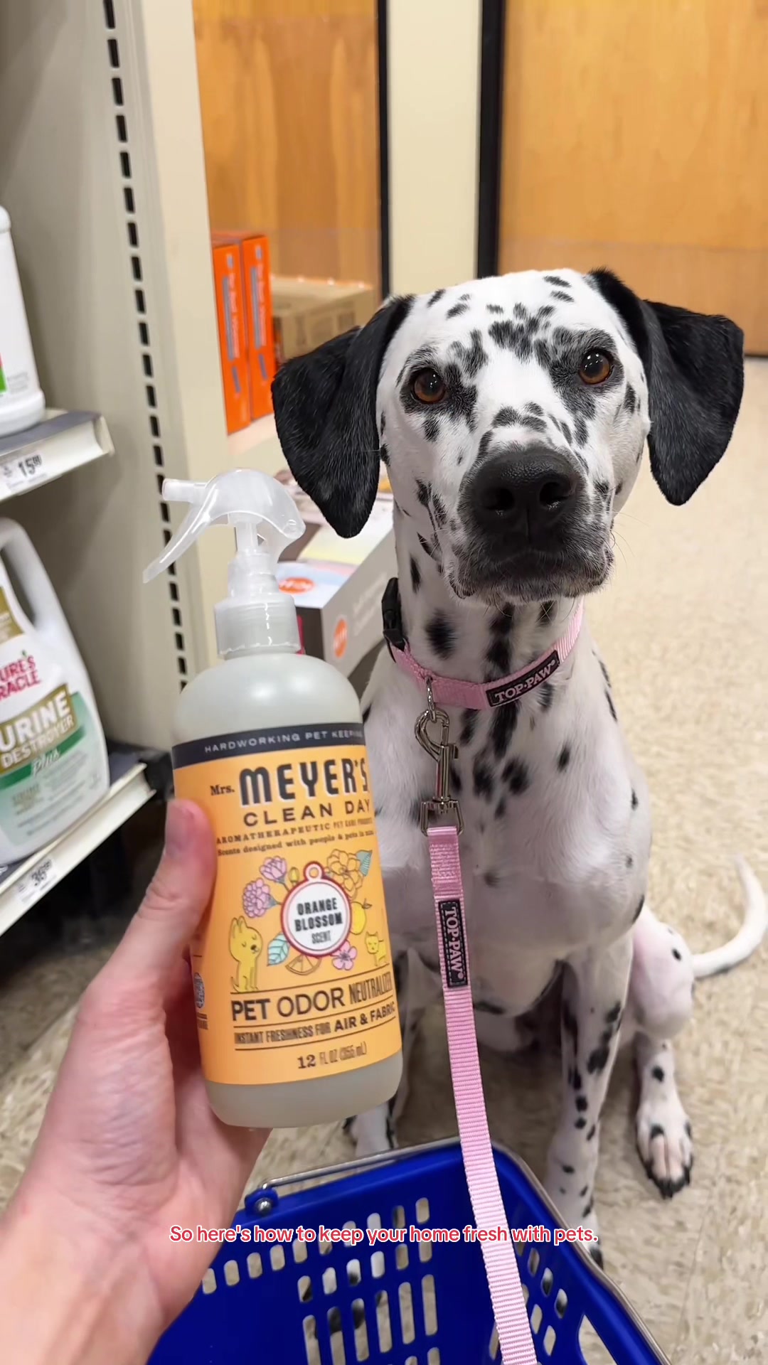 @PetSmart