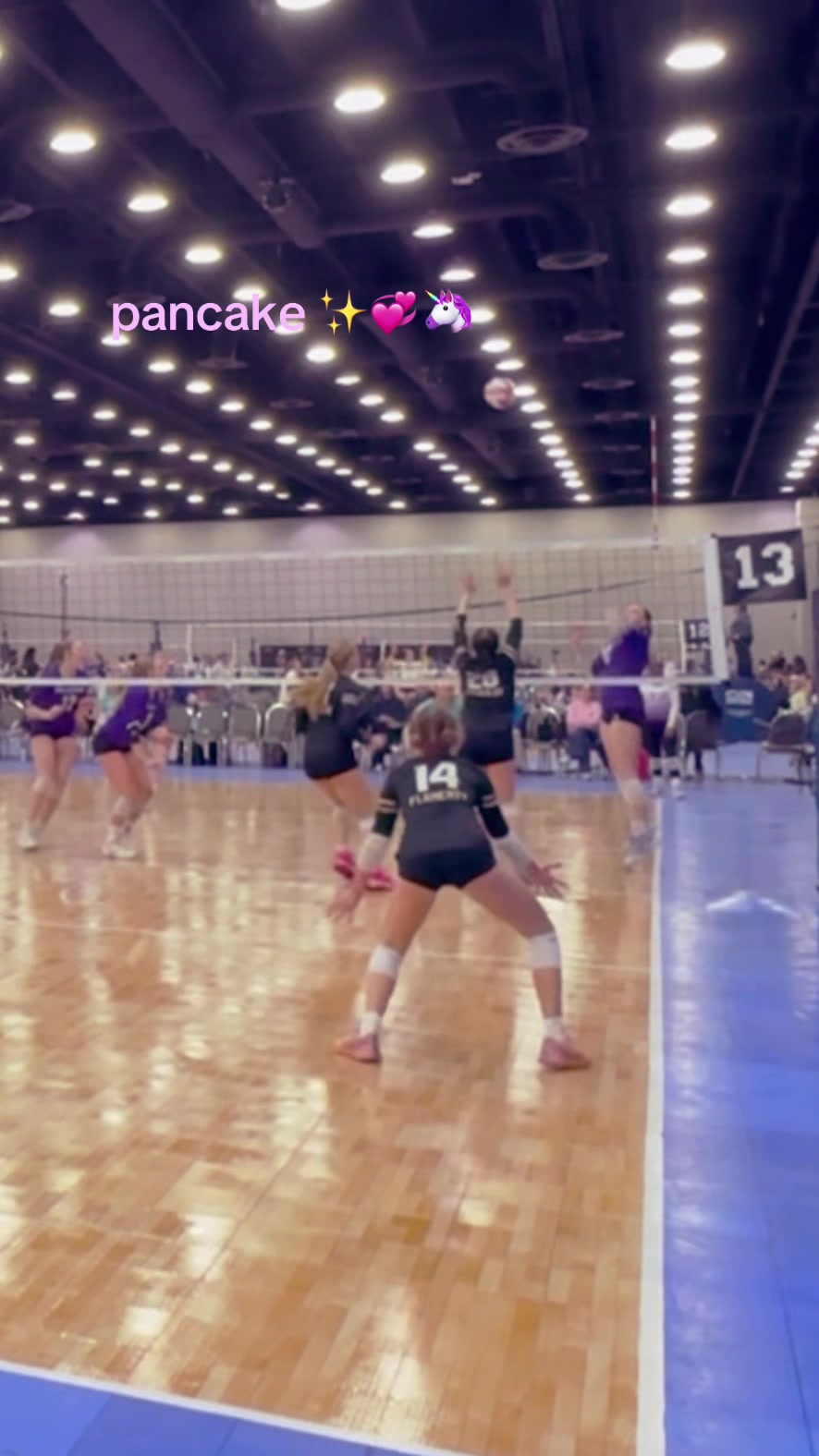 @cara flaherty 🏐