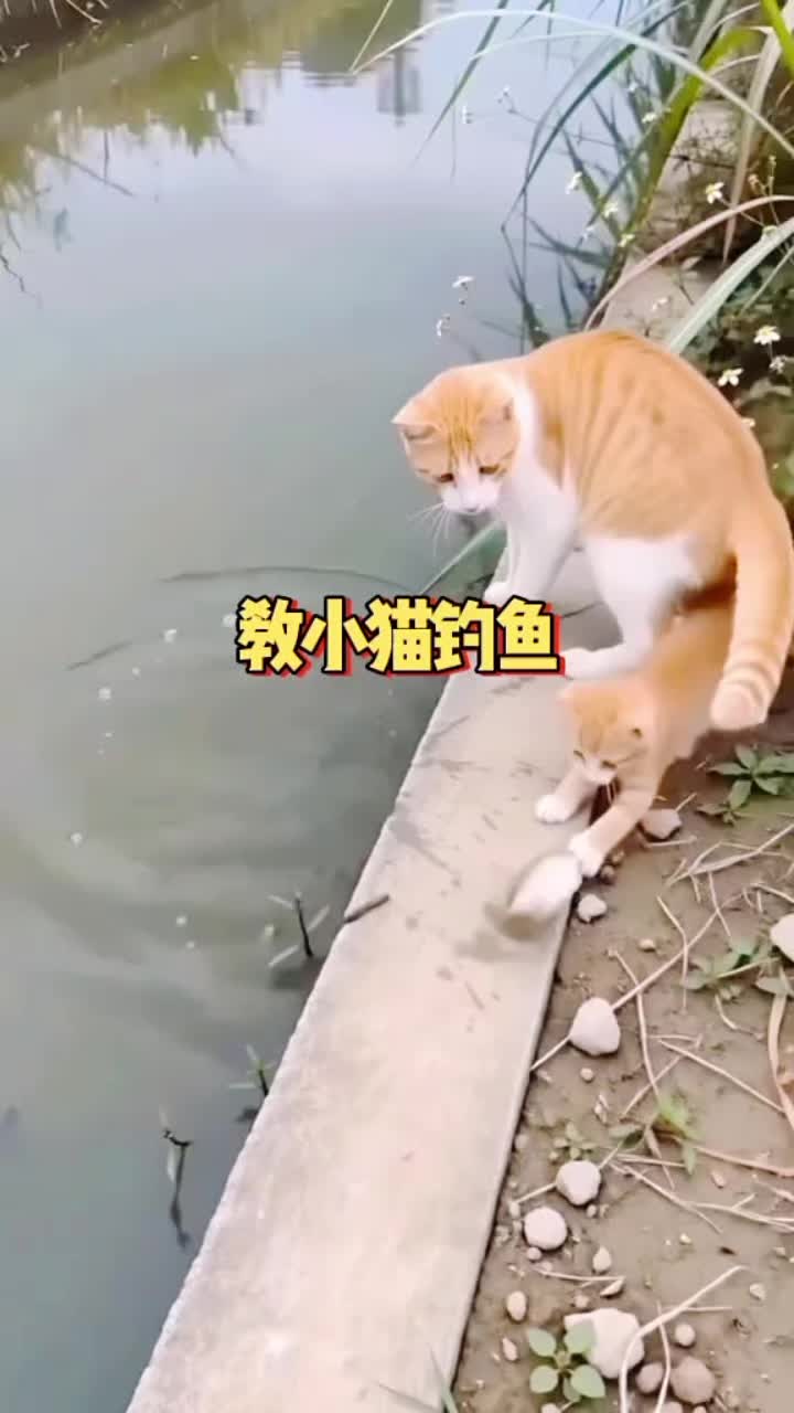 @☛𝓜𝓭 𝓘𝓶𝓪𝓶꧁❤•༆$☚