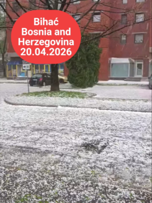 @Tetova News