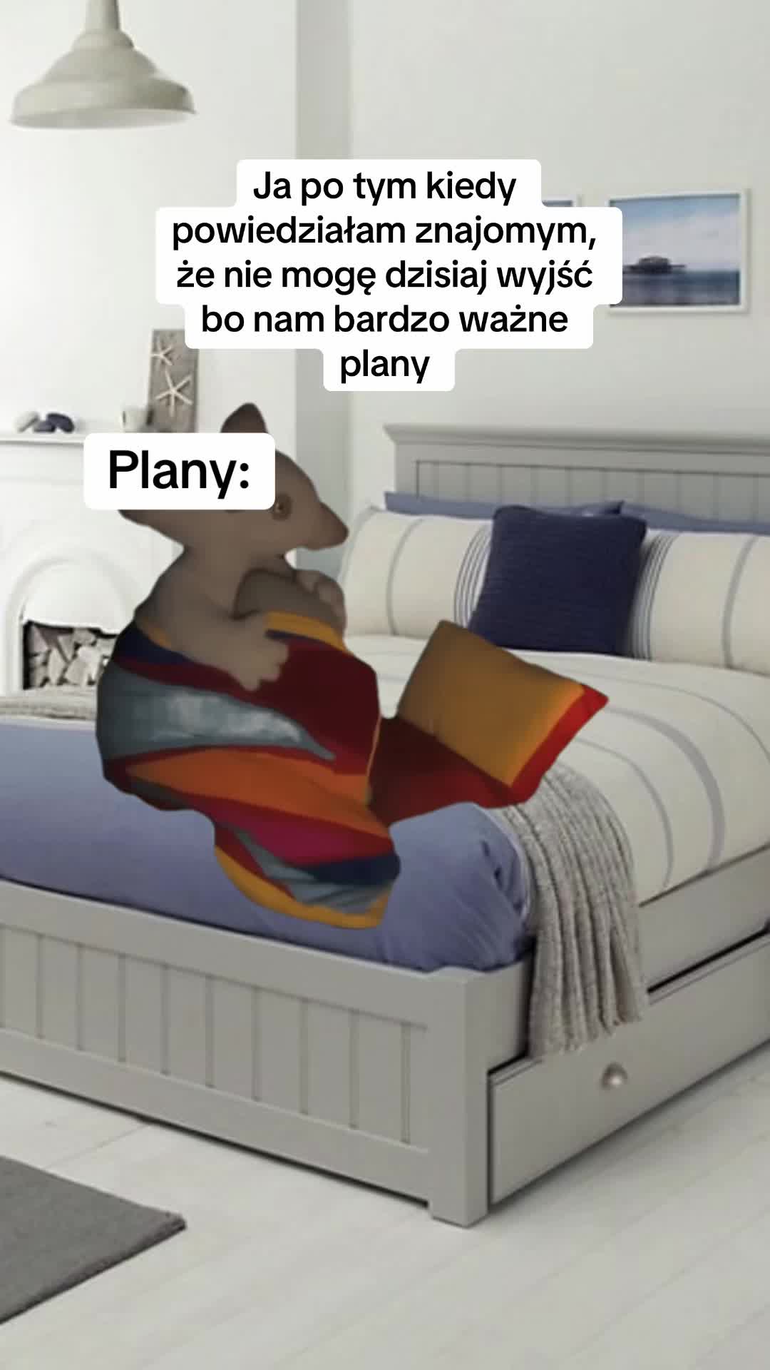 @Zofka