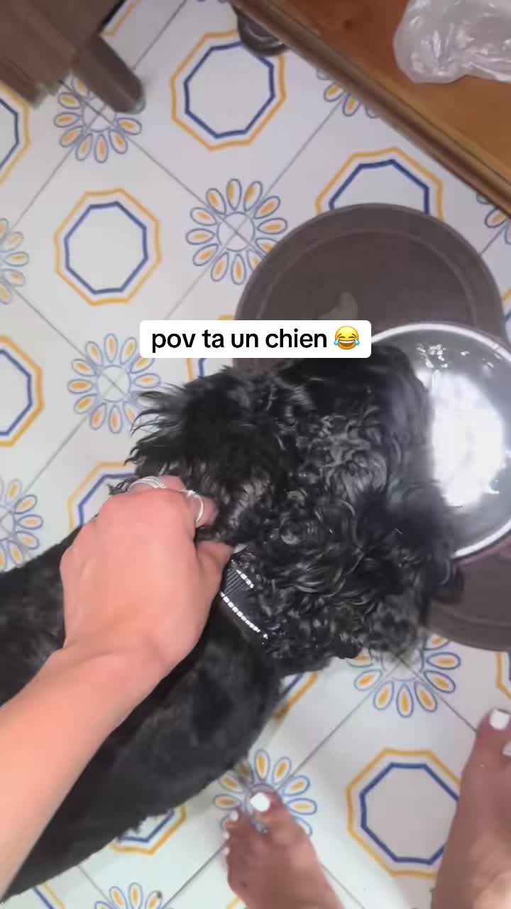 @btnyy_