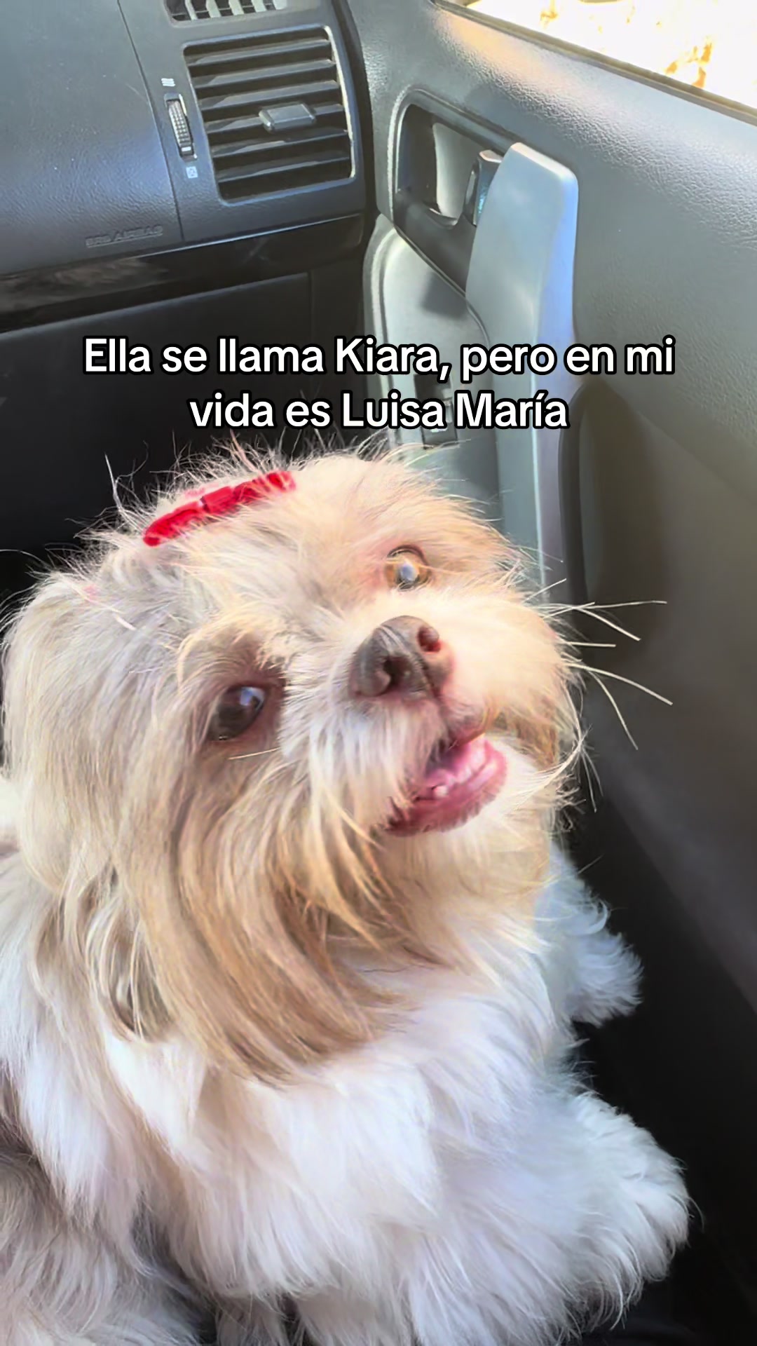 @luifda_1