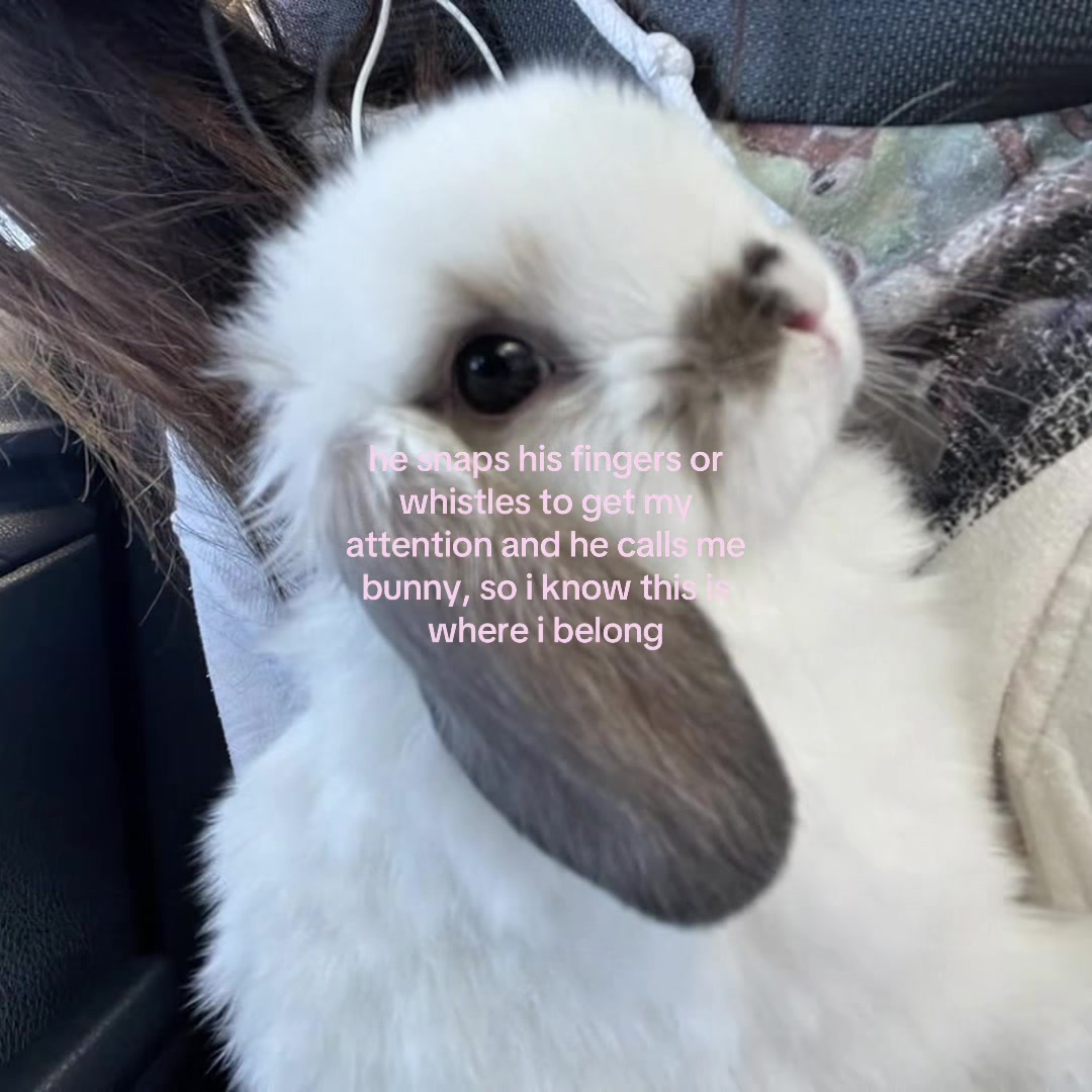 @Jaslinᥫ᭡