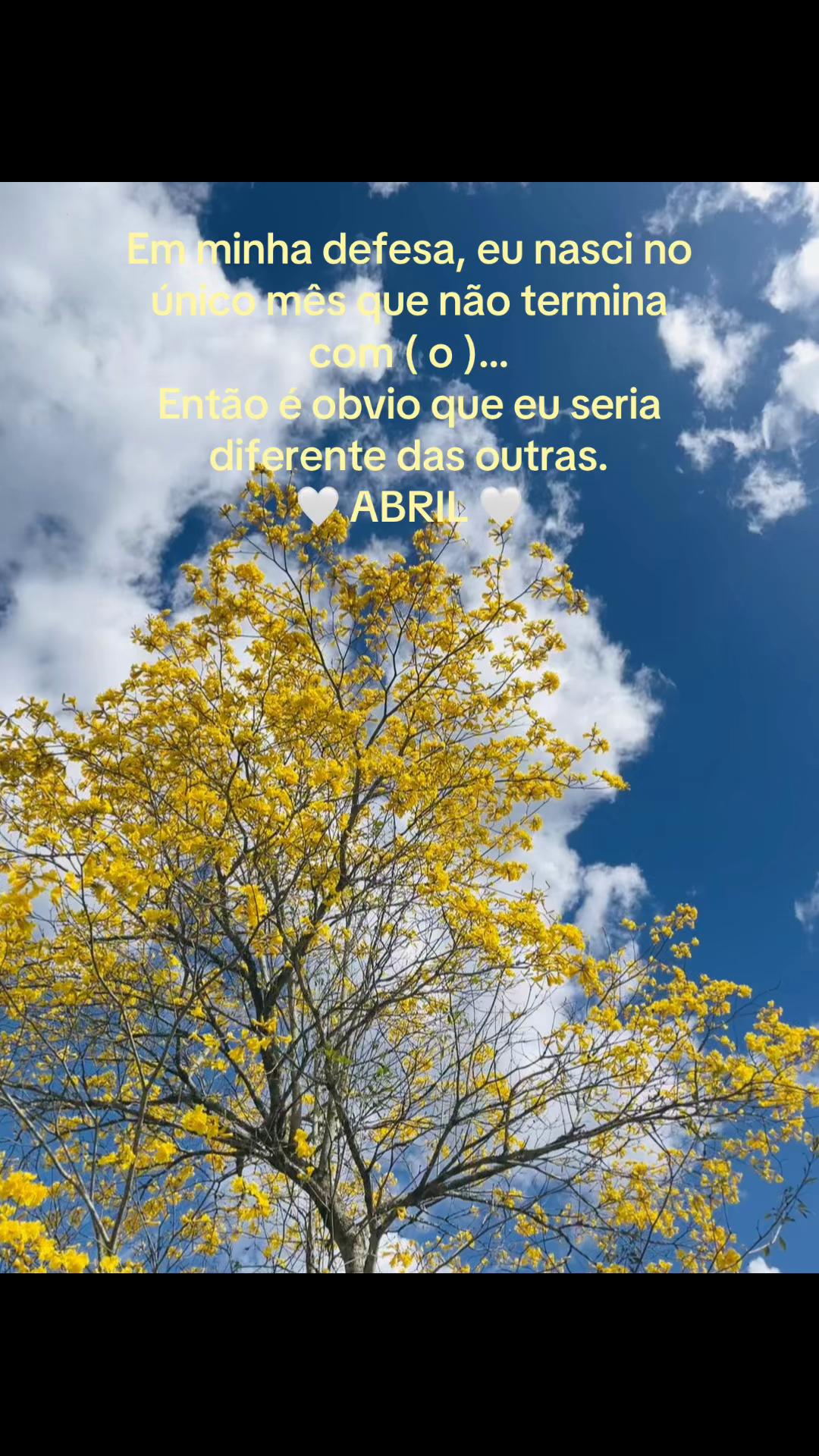 @Cachinhos 🧡