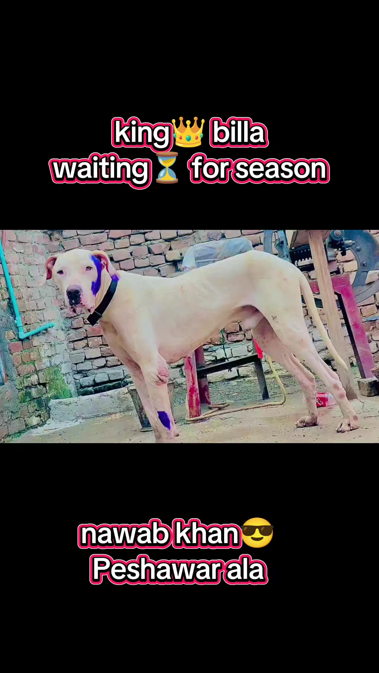 @MåTëēÑ-Khåñ__(SSåLäR ZåÏ