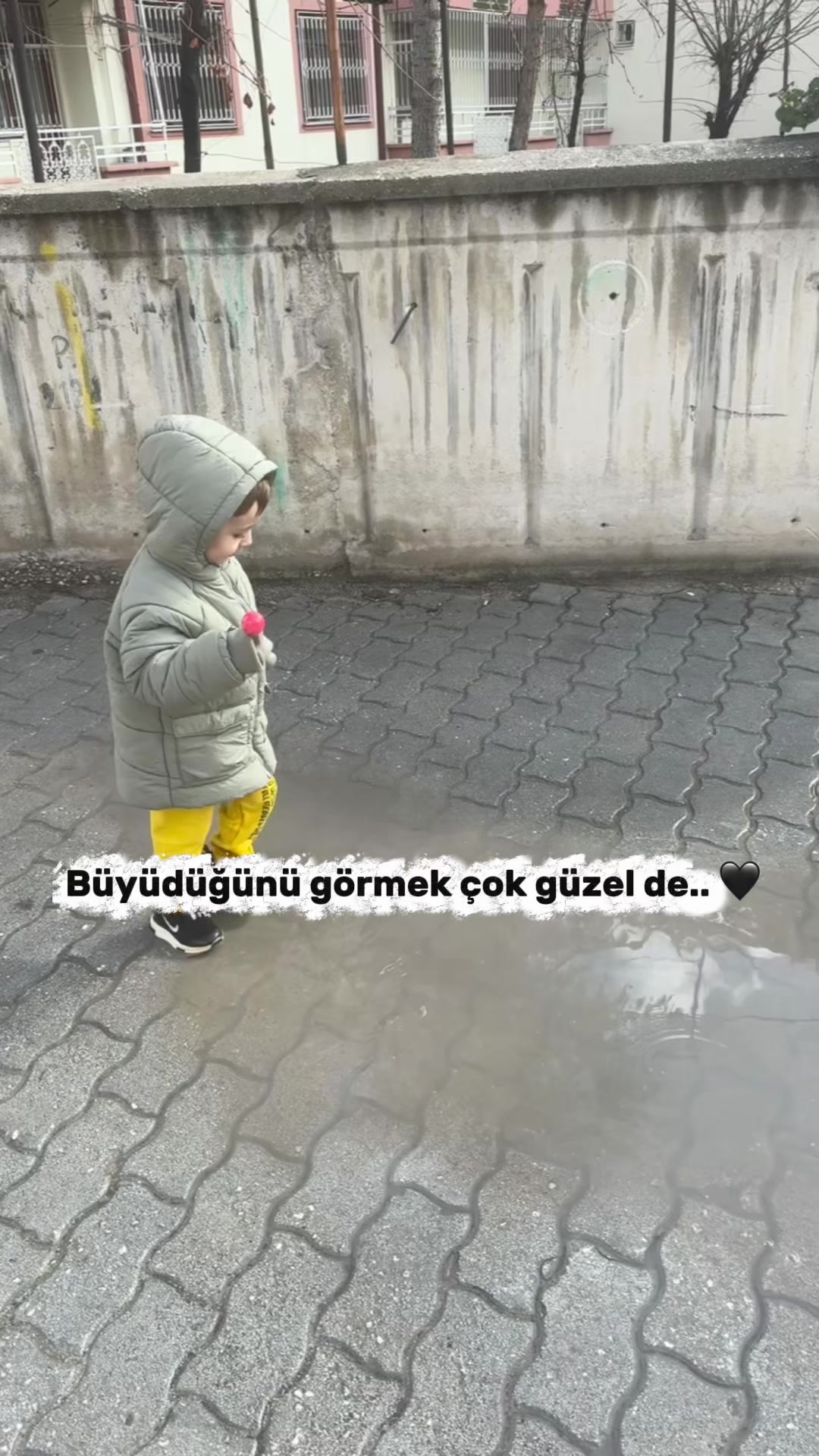 @AYŞE♥️YAHYA