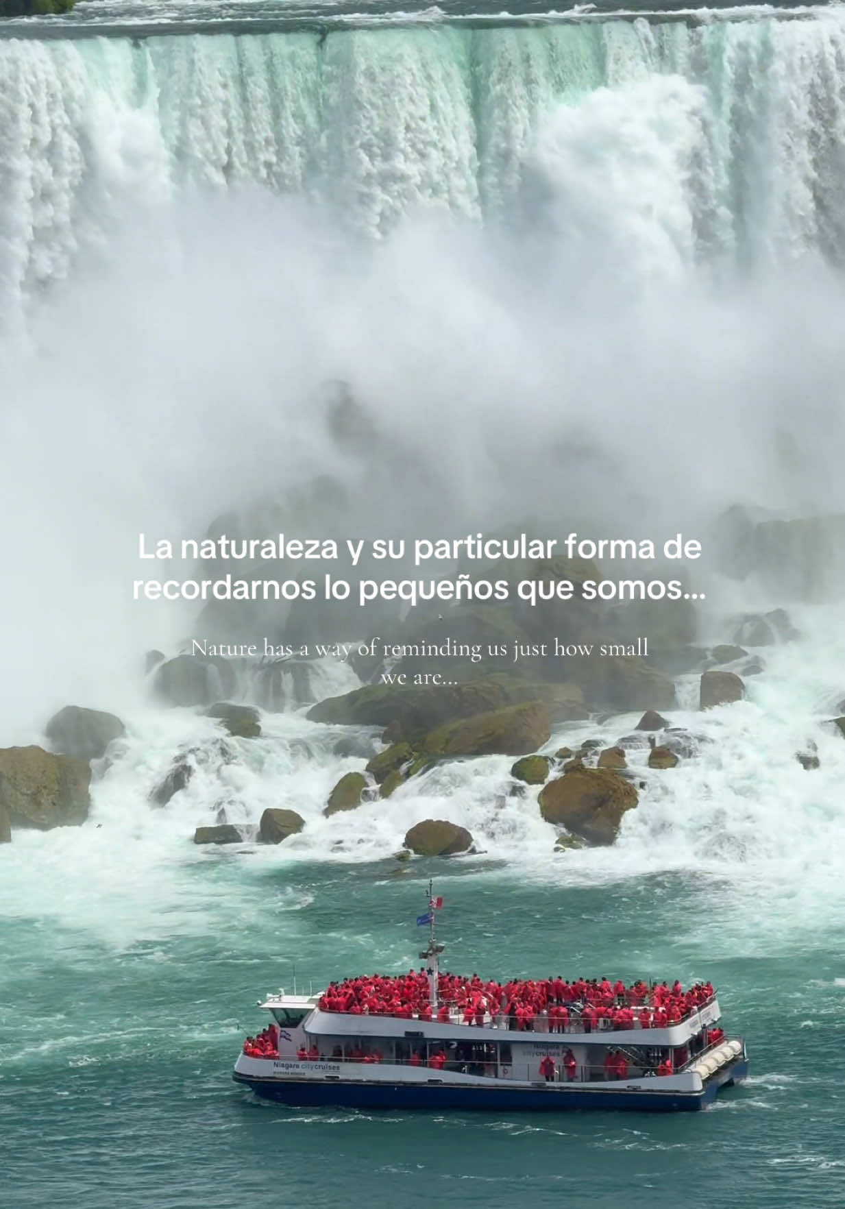 @Cindy Cortés 🌎🇨🇦