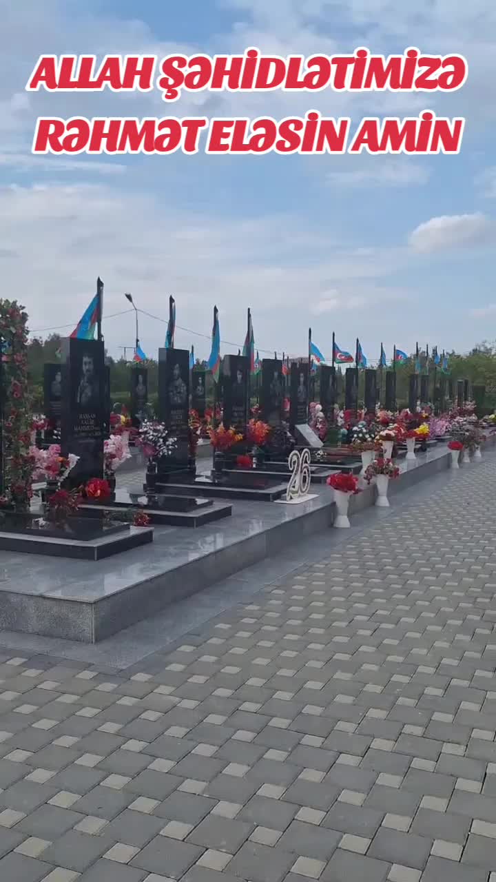 @TEYMUR AĞDAMLI SAYBALI