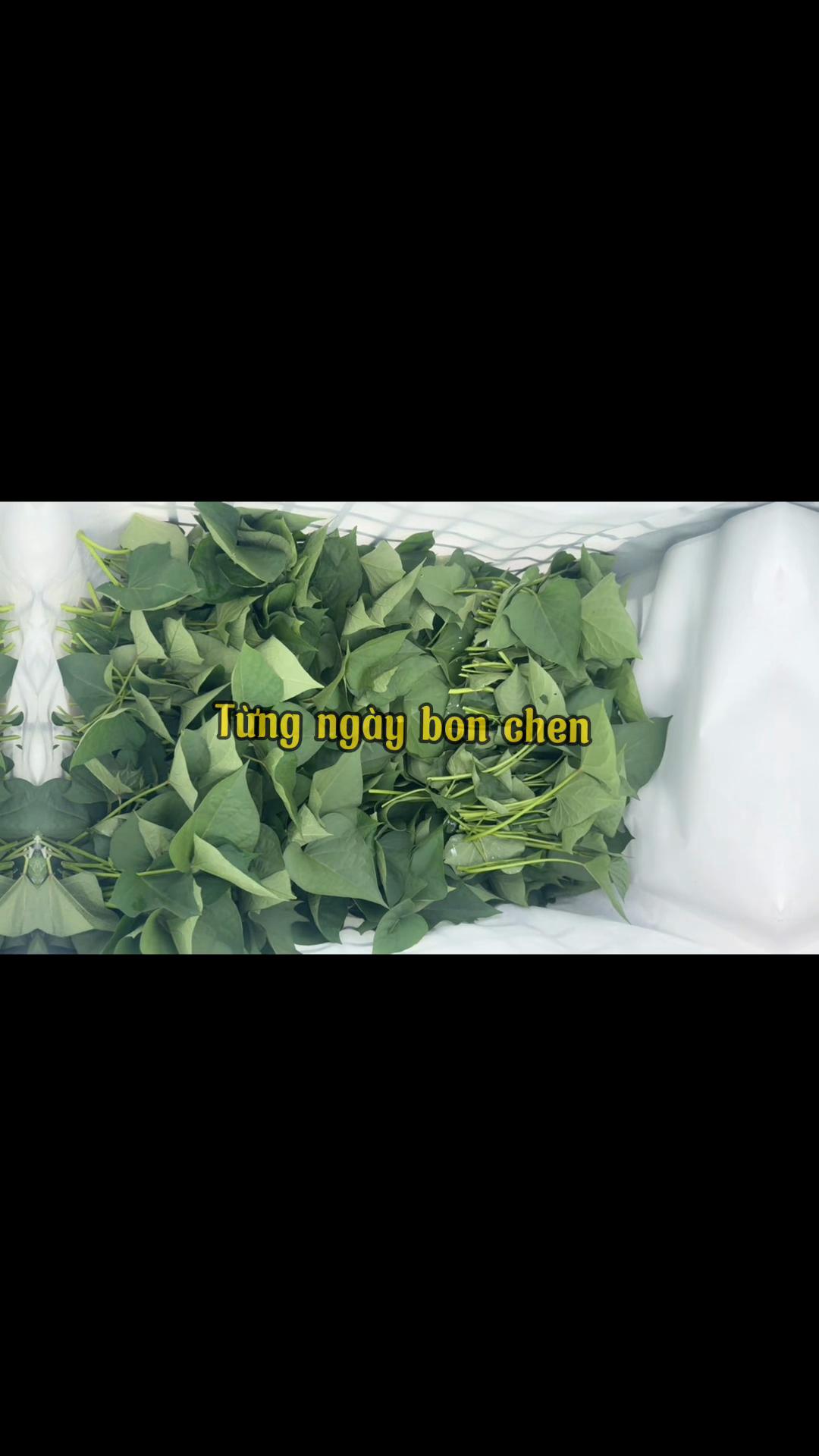 @28cp🇻🇳