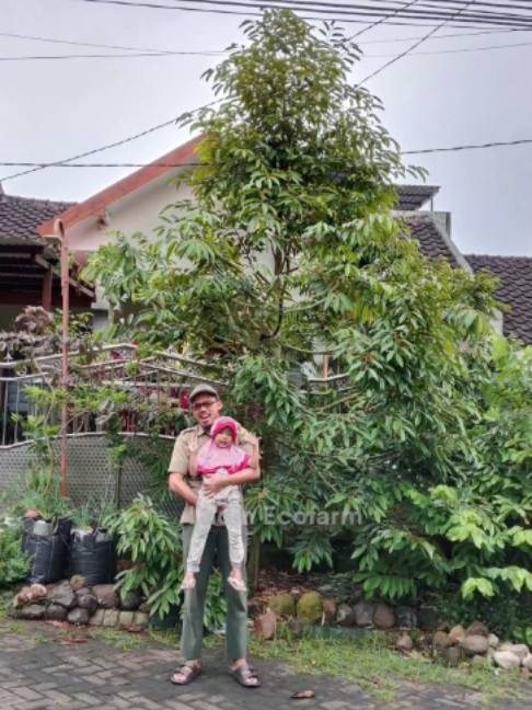 @LADIN ECOFARM STORE
