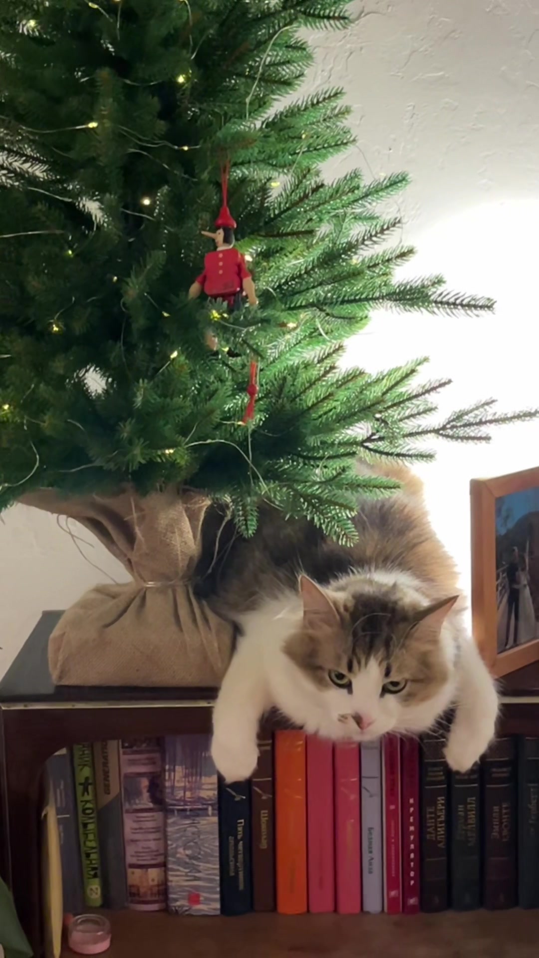 @Дяна