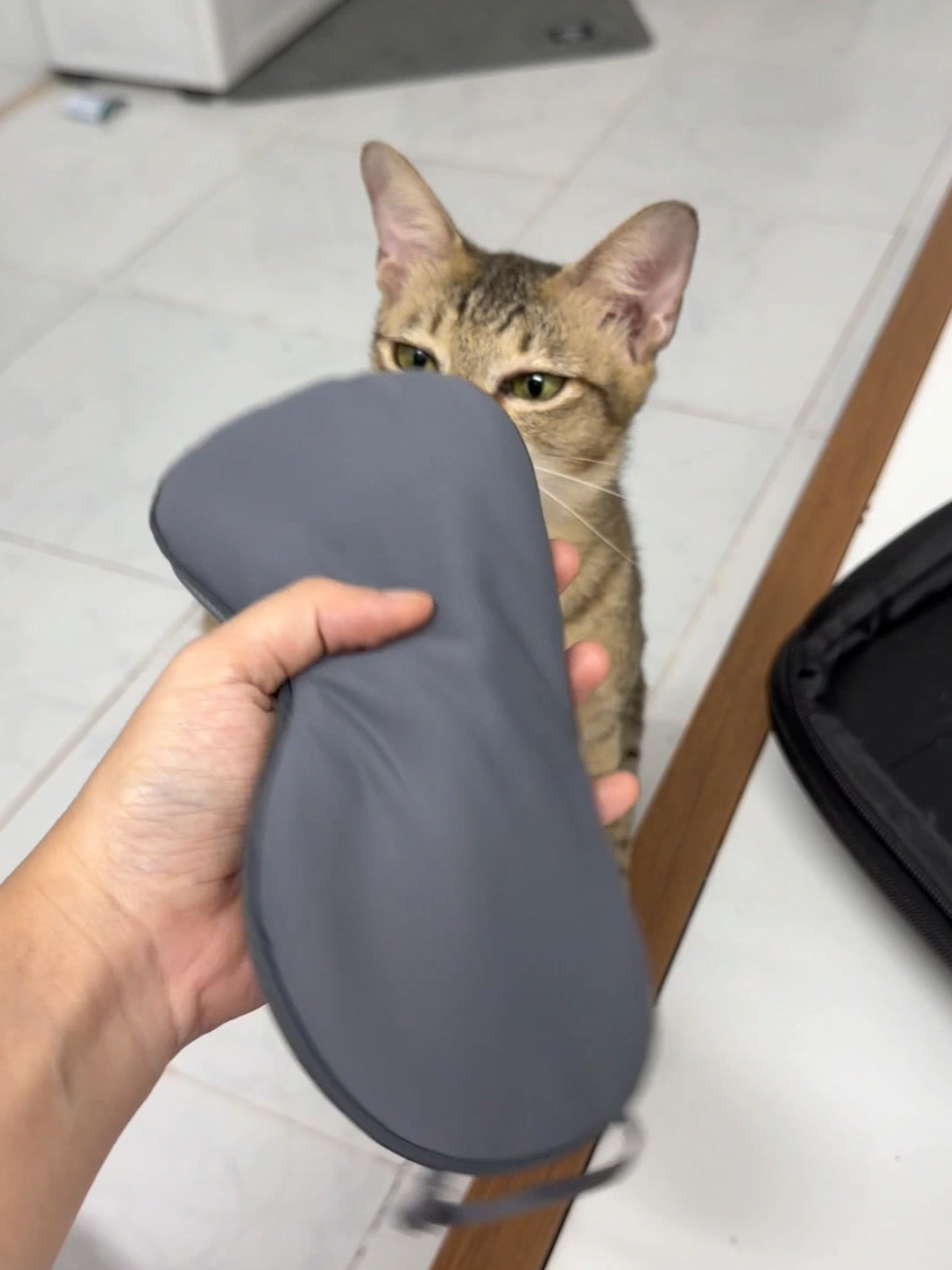 @Khế thúi