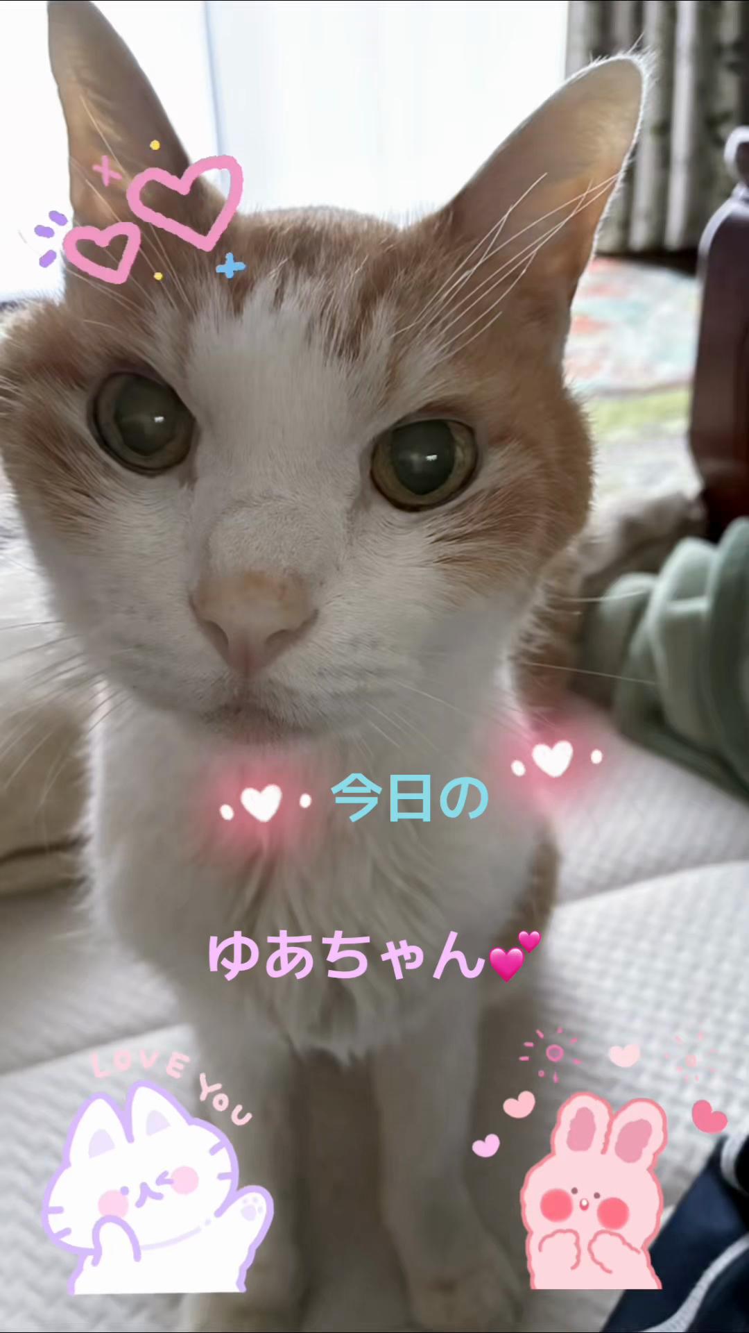 @ゆあ