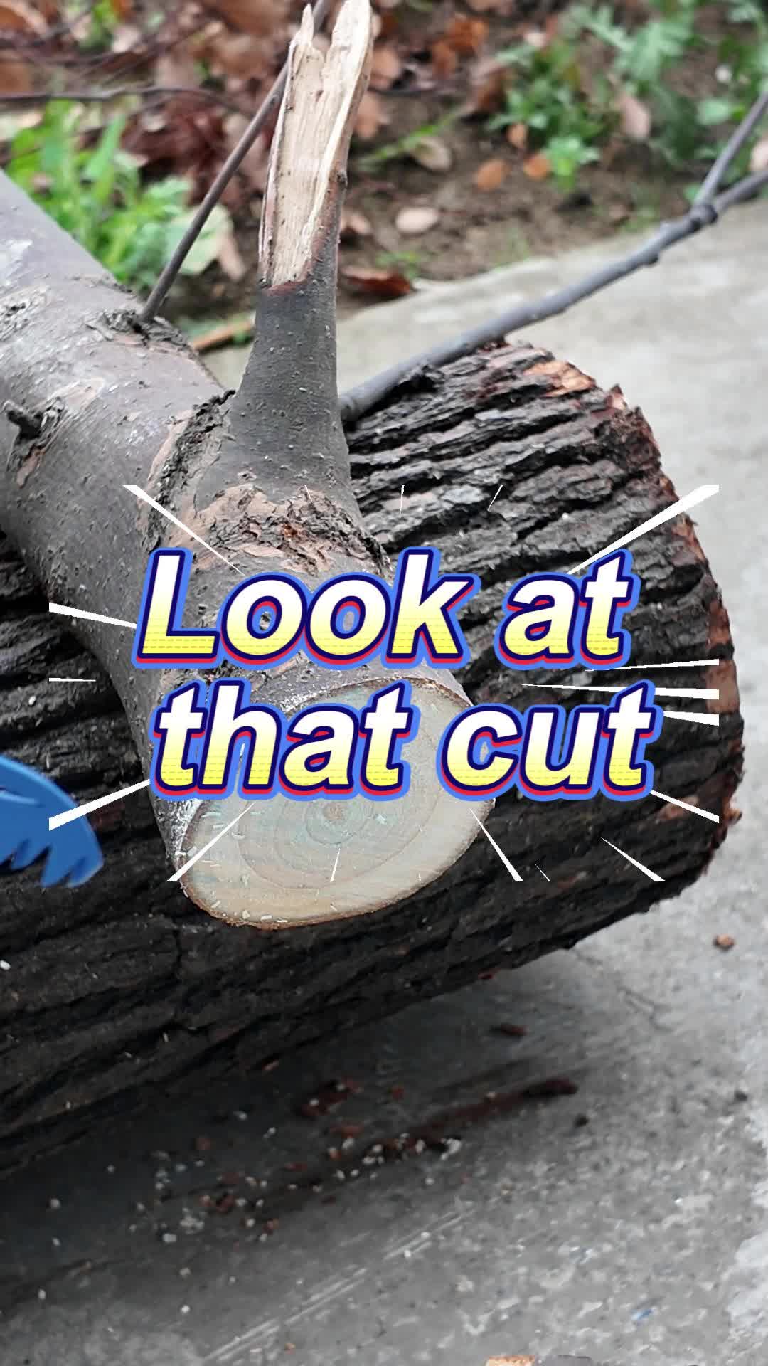 @Omni Tools