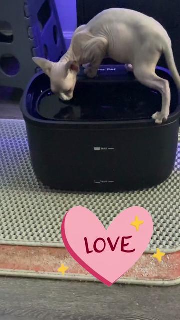 @MissyMarie71 🤗