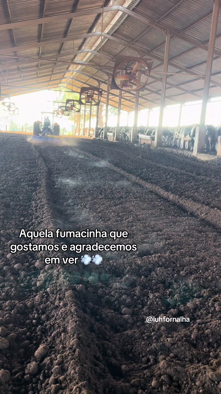 @Luh fornalha 🦚🐓🚜