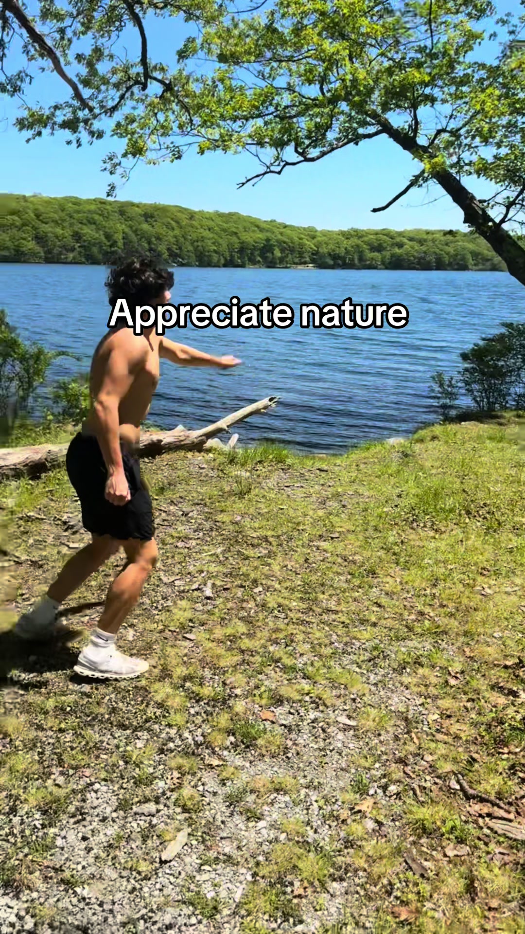 @Vimp