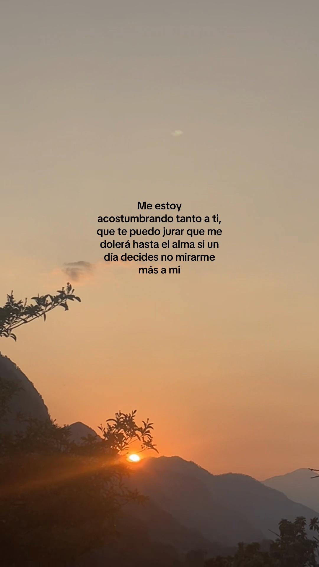 @Y ü r ë m 🕸️