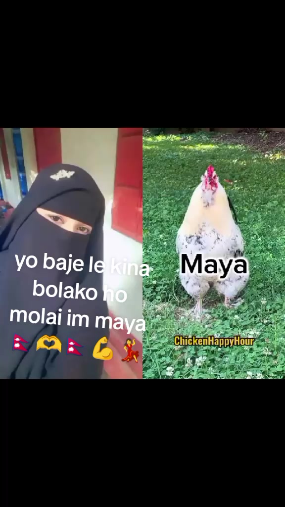 @Maya Maya