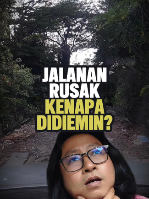 @DIDI LIONRICH