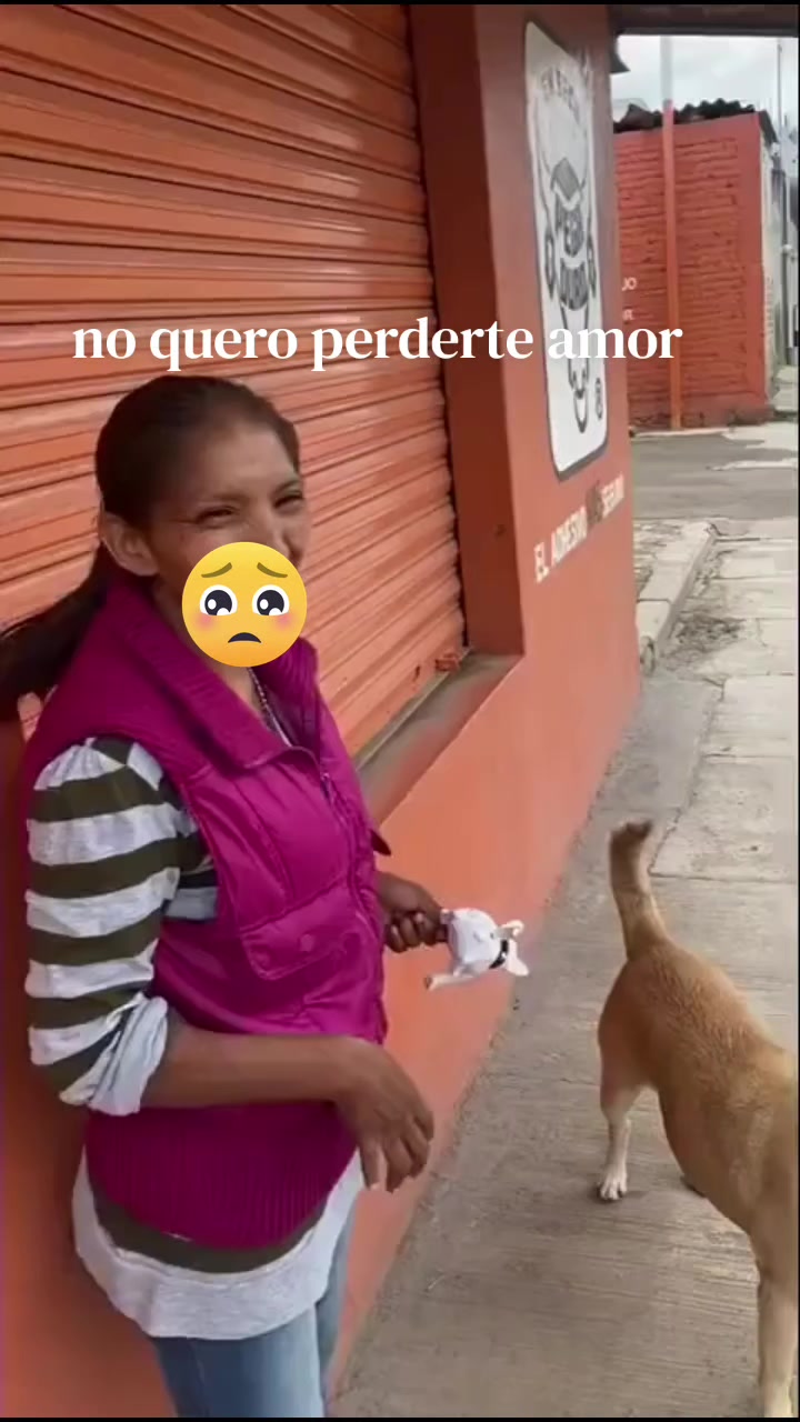 @xolita