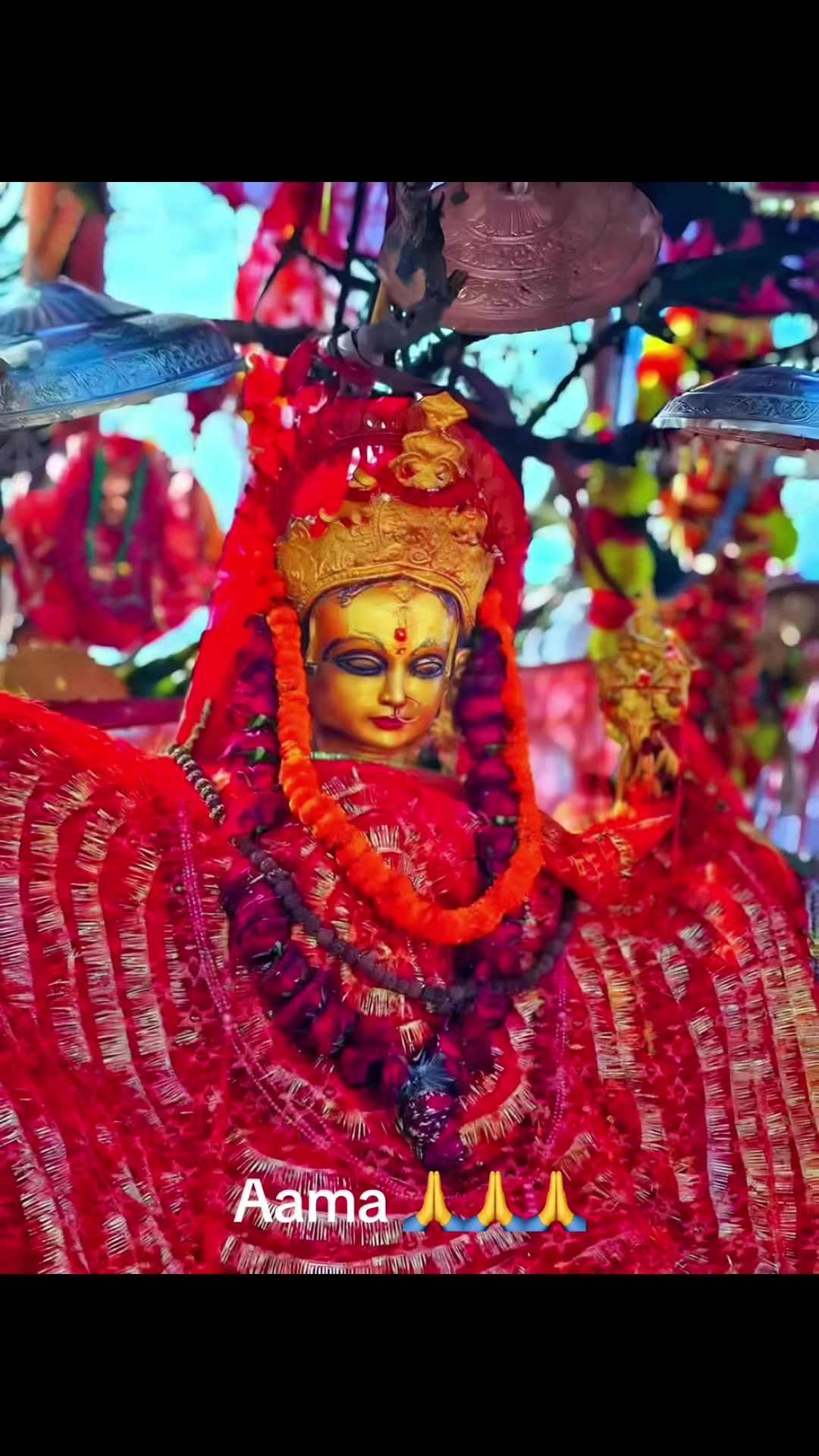 @nirmalabaral680