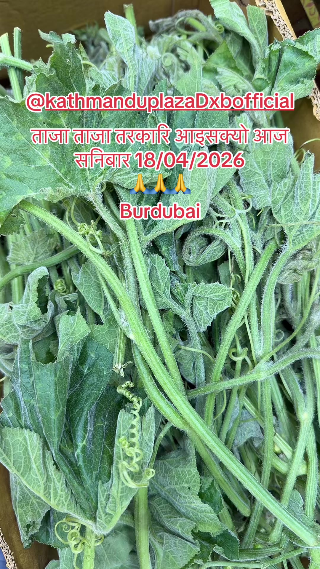 @Seema bashyal pandey