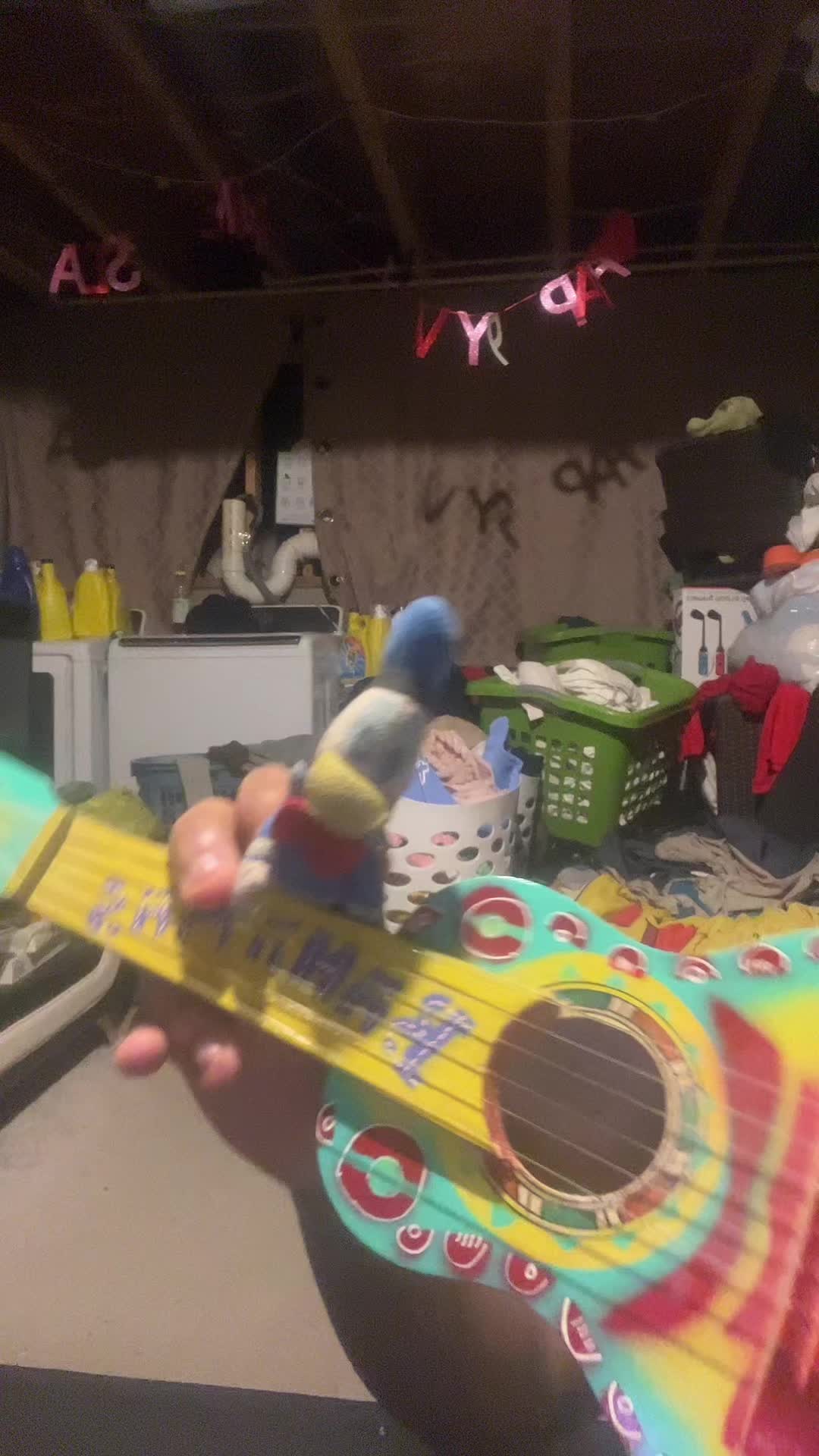 @Donald Duck