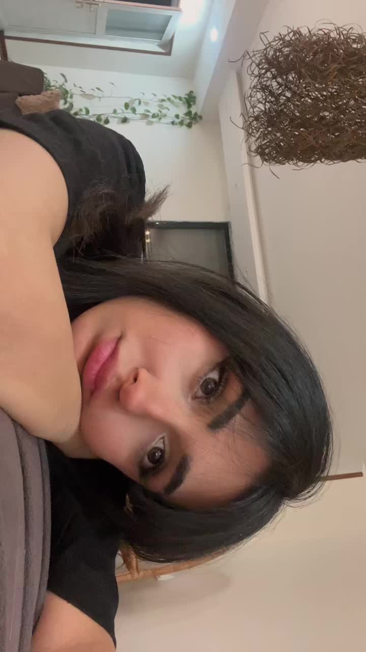 @lil.meshii