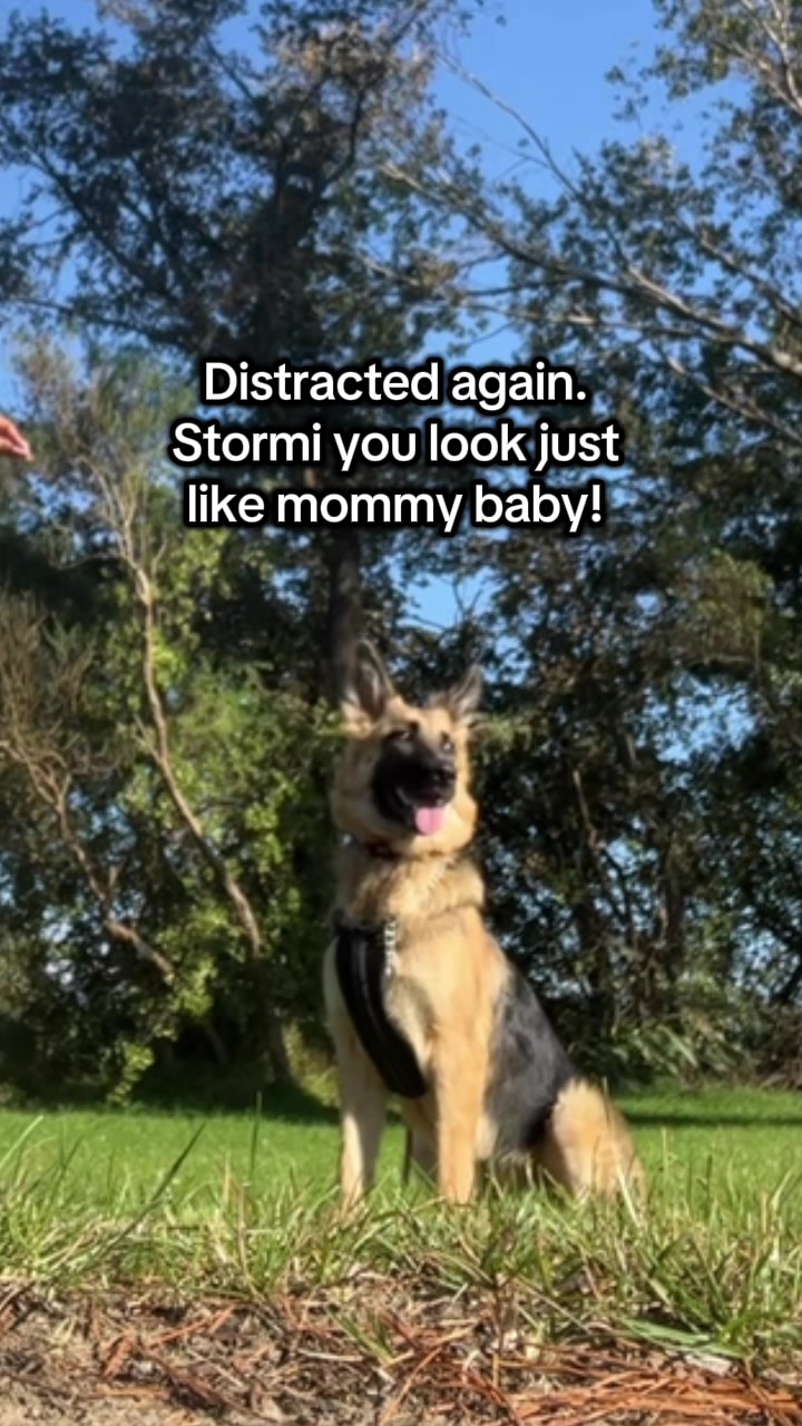 @Kali <3