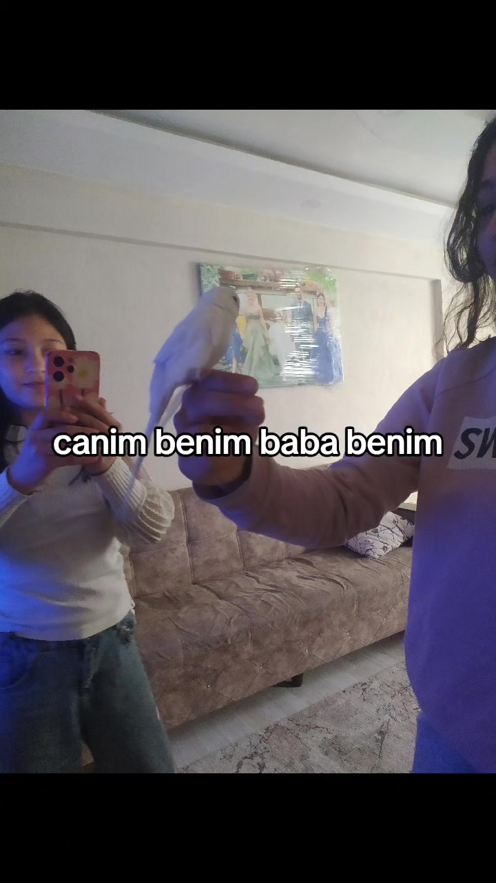 @Barış Alper Yılmaz