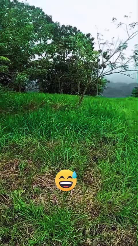 @Kamikazee Ca