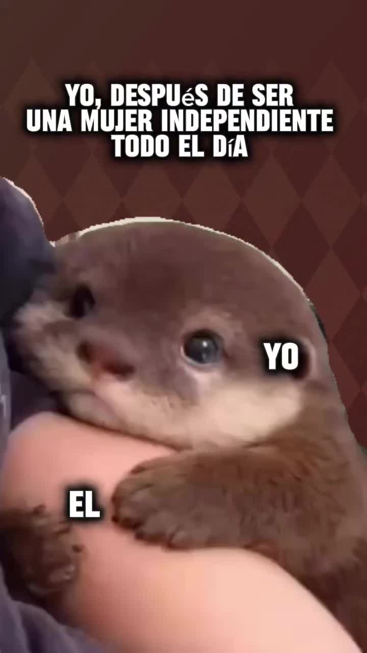 @Isaa