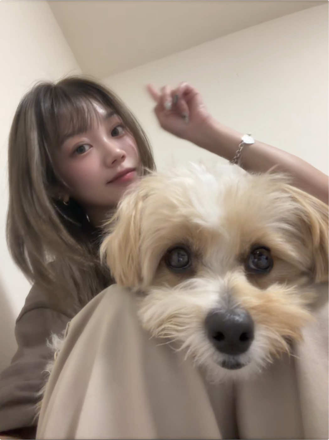 @遥梨