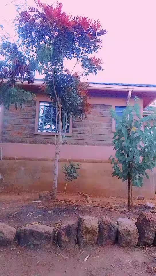 @kamba babe🇰🇪❤