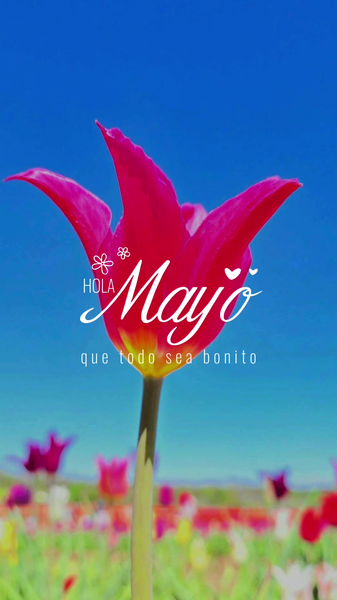 @🌹💕Jathzely🌹💕
